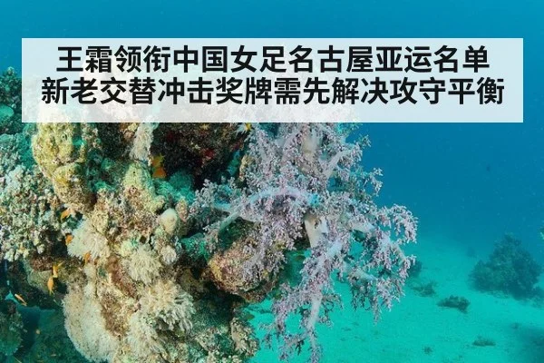 王霜领衔中国女足名古屋亚运名单 新老交替冲击奖牌需先解决攻守平衡